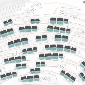 Latent Territories: City Species